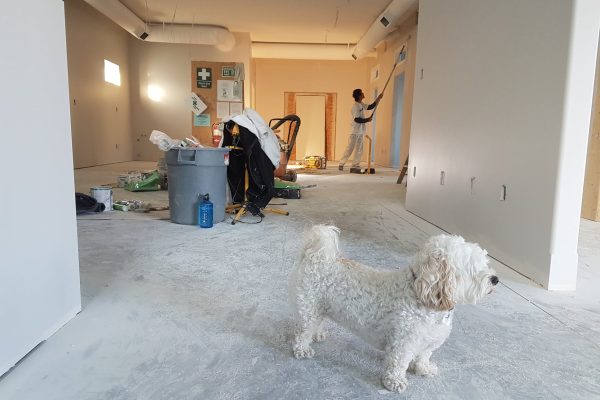 Comment choisir la meilleure entreprise de travaux à Toulouse ?